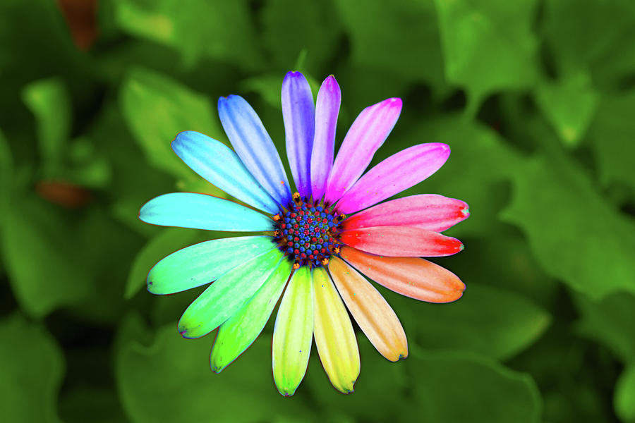 Tướng mạo đẹp như hoa là một miêu tả tuyệt vời cho vẻ đẹp của con người. Bức hình liên quan sẽ giúp bạn cảm nhận được sự thanh lịch và tinh tế của người đó. Hãy đón xem để tìm hiểu thêm về tướng mạo đẹp như hoa.