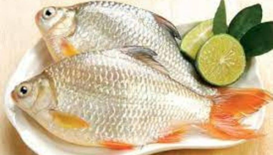 Loại cá chỉ 20 nghìn đồng mua được cả mớ, nhiều người chê nhưng cực ...