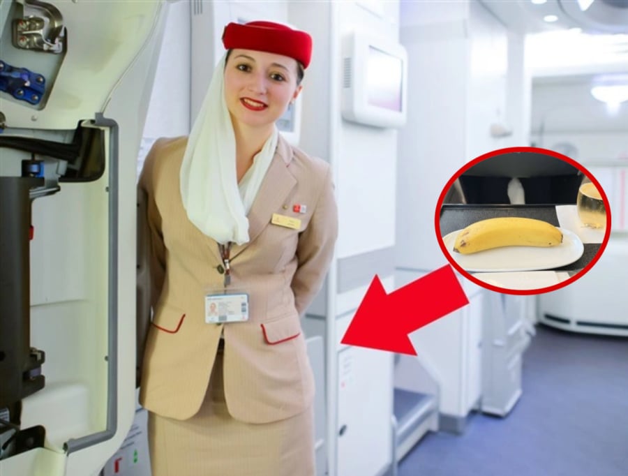 Hầu hết tiếp vi&ecirc;n h&agrave;ng kh&ocirc;ng đều mang một quả chuối l&ecirc;n m&aacute;y bay: H&oacute;a ra để  xử l&yacute; 1 việc