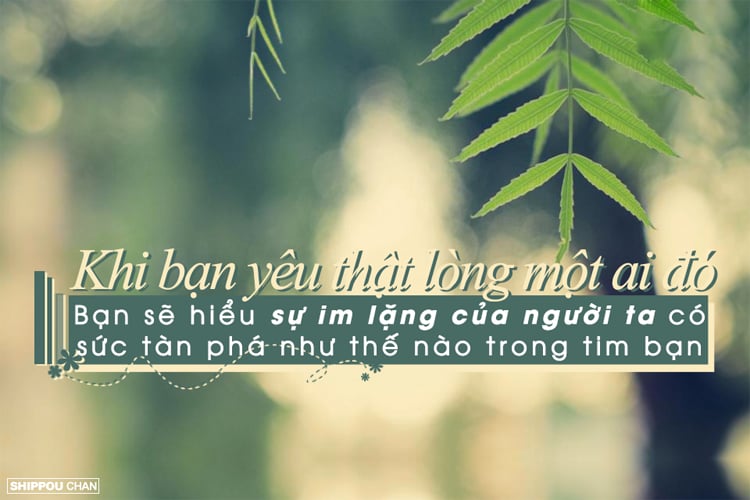 Liều thuốc độc có thể mang lại hậu quả nguy hiểm. Nhưng trong hình ảnh này, chúng tôi sẽ cho bạn thấy rằng liều thuốc độc cũng có thể mang lại điều kì diệu cho cuộc sống của bạn.