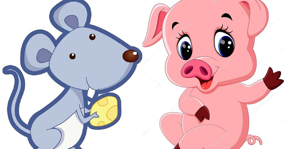 Tuổi Tý Và Hợi Có Hợp Không? Khám Phá Sự Hòa Hợp Và Tương Thích Giữa Hai Tuổi