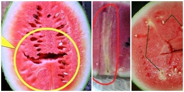 Cách phát hiện dưa hấu tiêm hóa chất chỉ bằng mắt thường ...