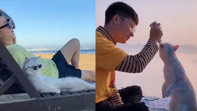 Boss mèo khiến cả thế giới ghen tị vì được trai đẹp nắm tay đi khắp thế ...
