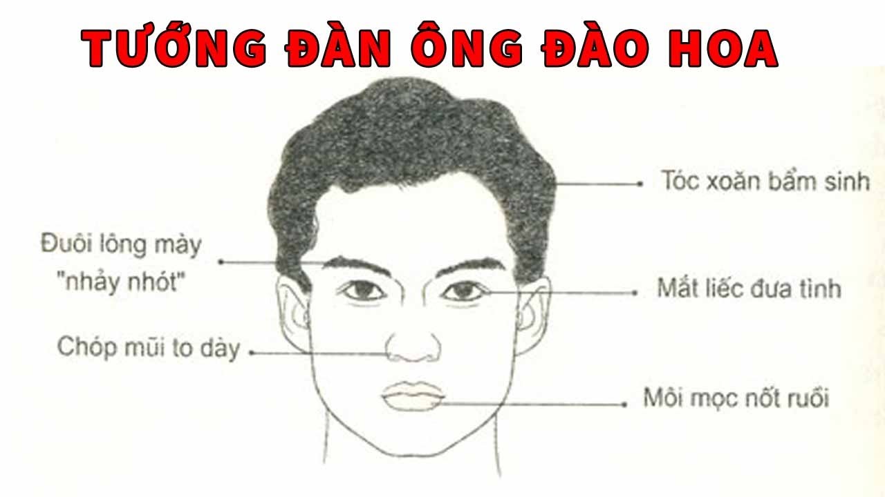 Đặc Điểm Nhận Dạng Mắt Đào Hoa