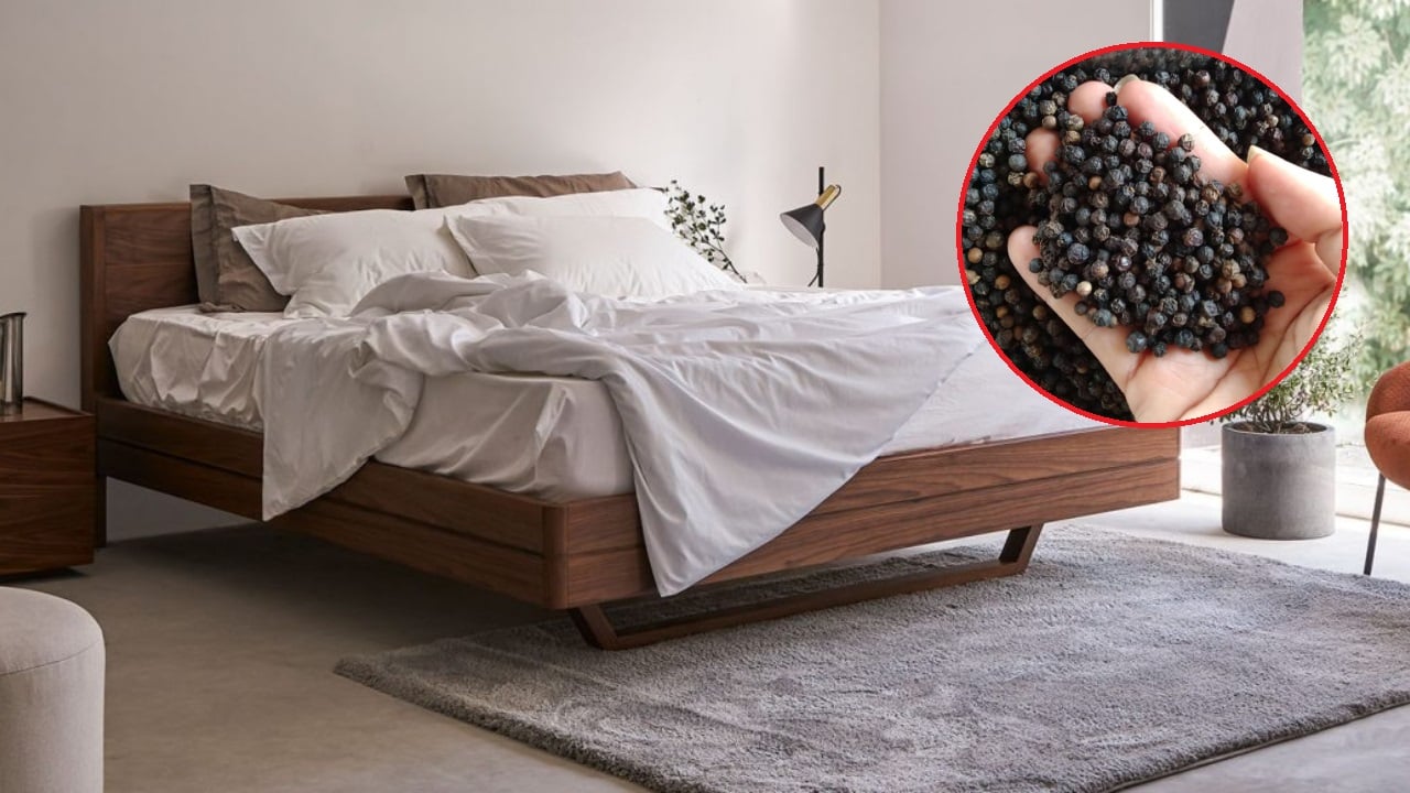 Đặt nắm hạt tiêu dưới gầm giường: Nhận lợi ích bất ngờ, tiết kiệm cả đống  tiền mỗi năm