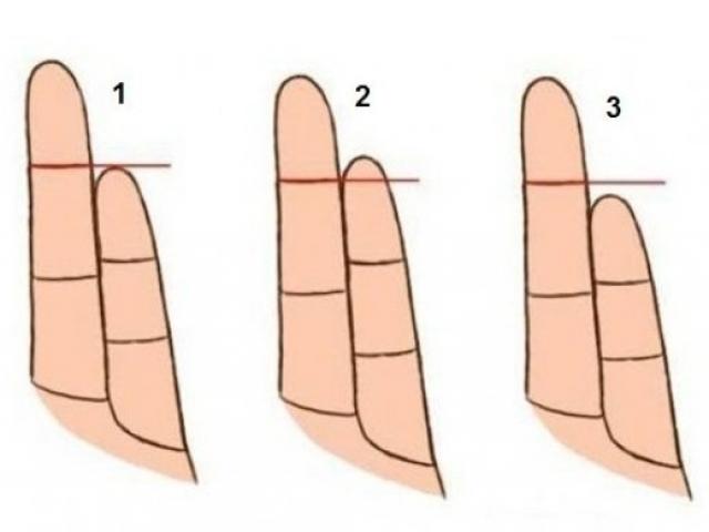 XEM TƯỚNG SỐ QUA NGÓN TAY LUẬN GIẢI TÌNH DUYÊN CÔNG DANH