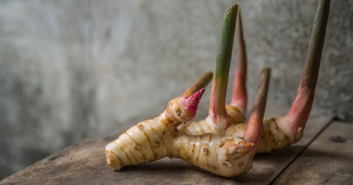 2 loại củ rẻ bèo vừa là khắc tinh của tế bào K, vừa giảm đau dạ dày ...