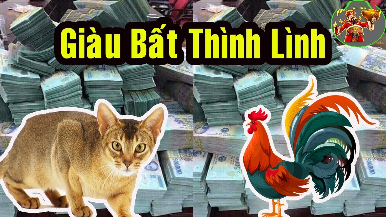 phat-tuong-la-phat-tai-3-tuoi-nay-cang-beo-cang-them-loc-tien-bac-dua-nhau-keo-ve