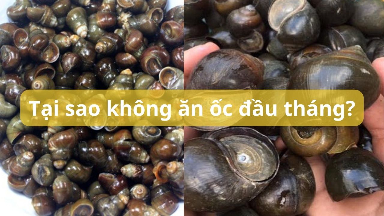 6. Các Món Ăn Kết Hợp Với Ốc Mùng 1