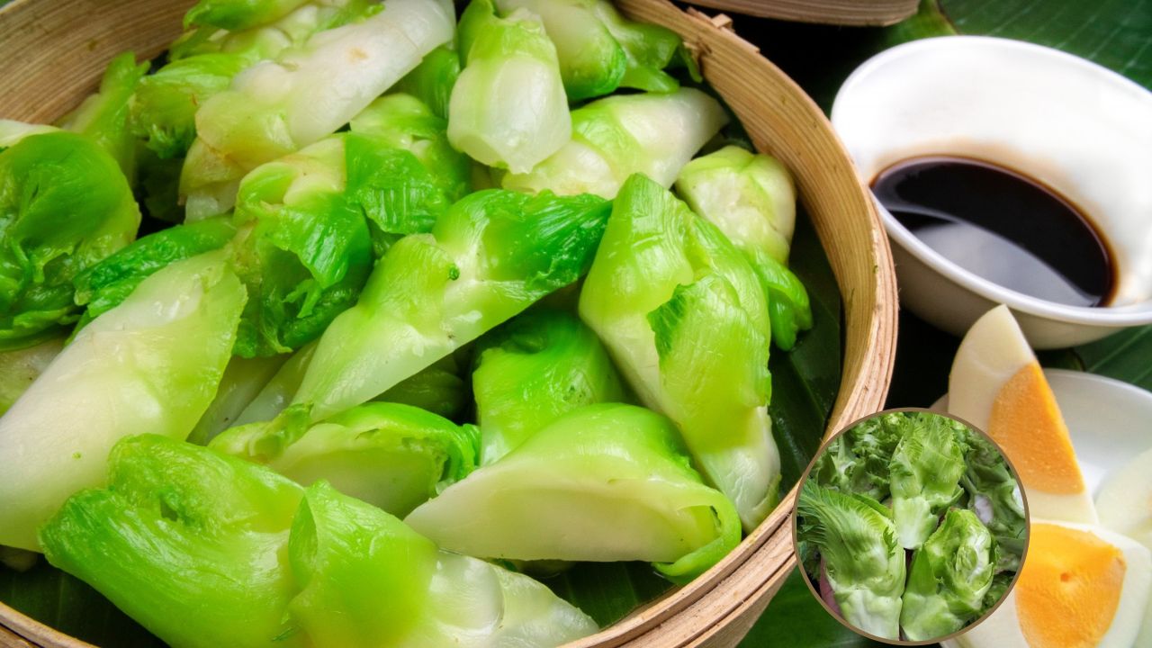 Lọa rau đặc sản xưa chỉ dùng tiến vua nay bán đầy ngoài chợ: Được trồng ...