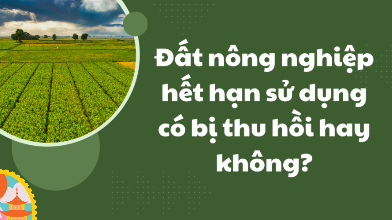 Sang 2024 Đất nông nghiệp hết hạn sử dụng có bị thu hồi không?