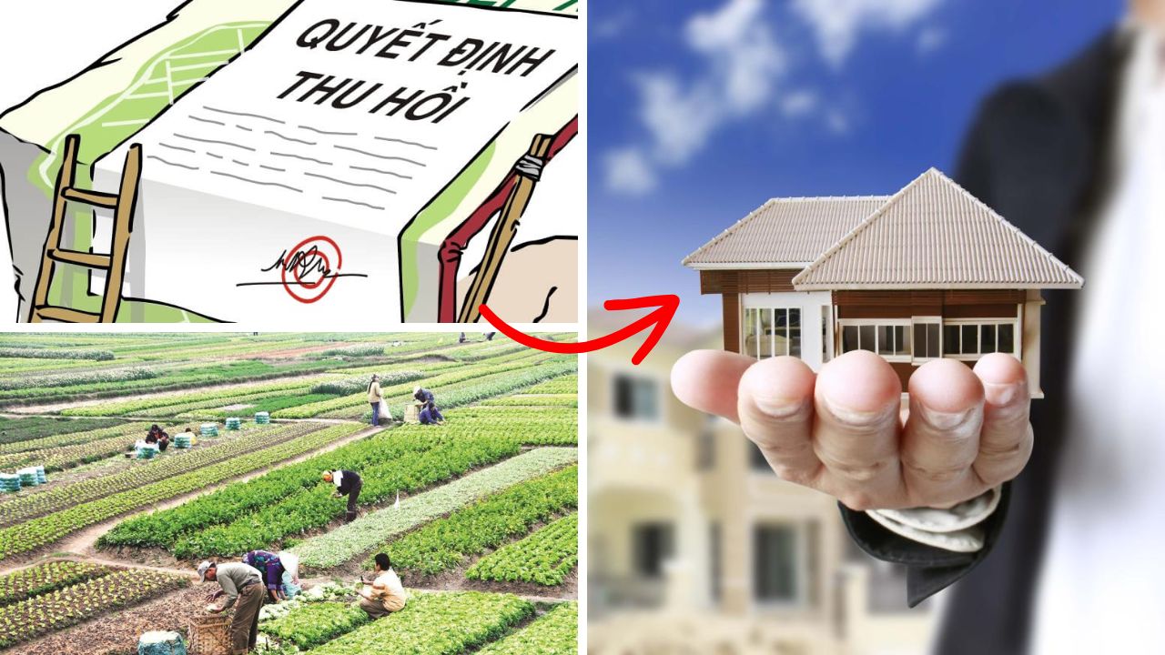 Sang năm 2025, đất nông nghiệp bị thu hồi có thể được bồi thường bằng nhà ở?