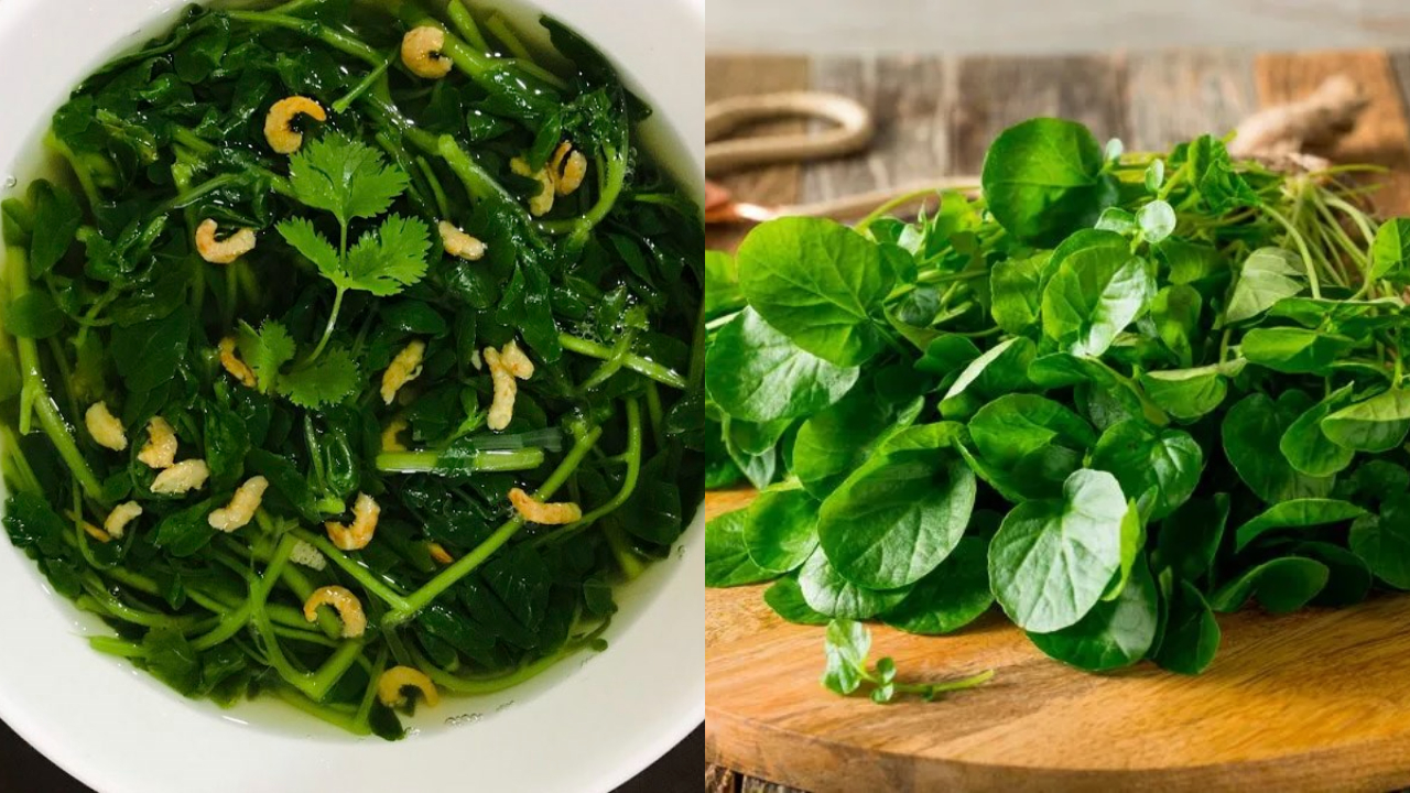 Loại rau từng bị xem như cỏ dại nhưng giúp làm chậm lão hoá, phòng ung ...