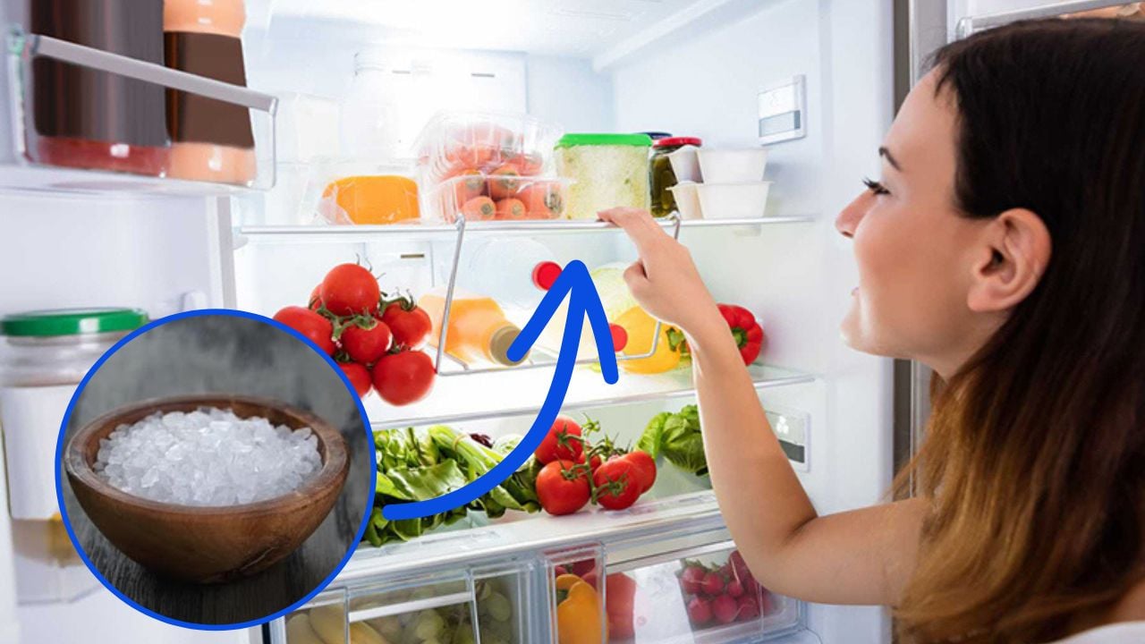 Người th&ocirc;ng minh thường đặt một b&aacute;t muối trong tủ lạnh: C&oacute; 2 c&ocirc;ng dụng qu&yacute;  nh&agrave; n&agrave;o cũng th&iacute;ch