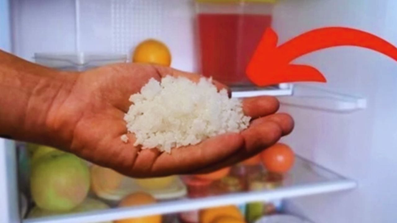 Đặt 1 bát muối vào tủ lạnh, điều kỳ diệu xảy ra, nhiều người vội làm theo