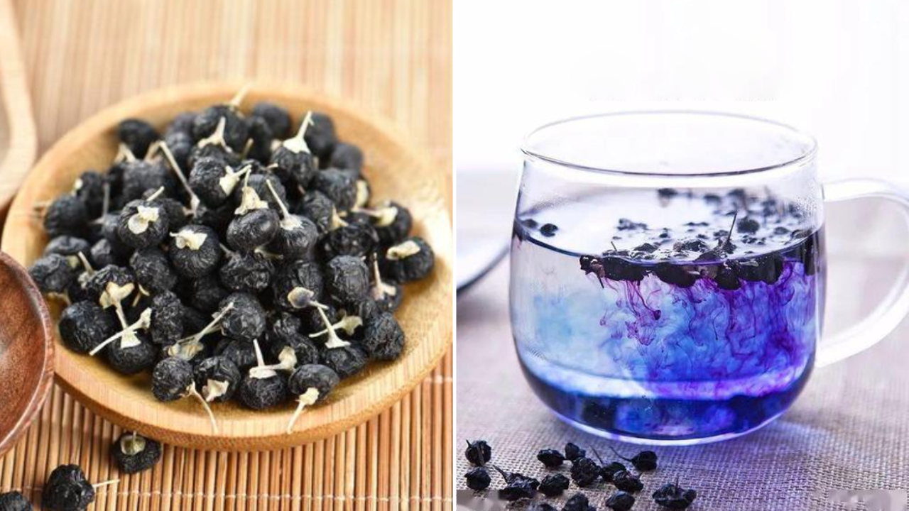 Cách Dùng Hắc Kỷ Tử Cách Dùng Hắc Kỷ Tử