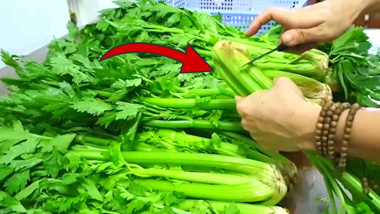 Tế bào K rất 'sợ' loại rau này, ăn vào vừa ngon vừa bổ, giá lại rẻ bèo