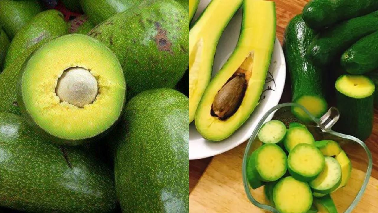 Mẹo chọn quả bơ ngon, hạt nhỏ, chỉ cần nhìn trúng điểm này 100 quả như 1 quả nào cũng ngon