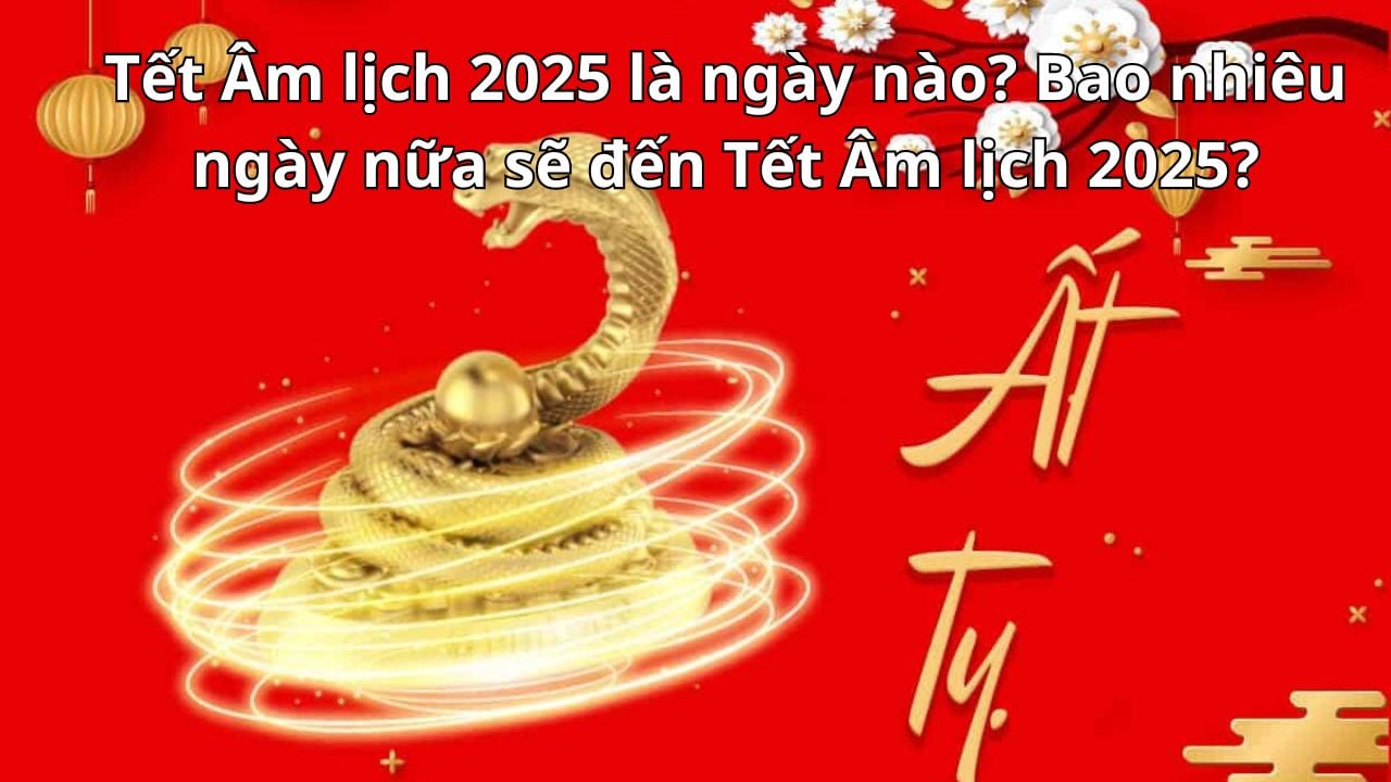 Tết Âm lịch 2025 là ngày nào? Bao nhiêu ngày nữa sẽ đến Tết Âm lịch 2025?