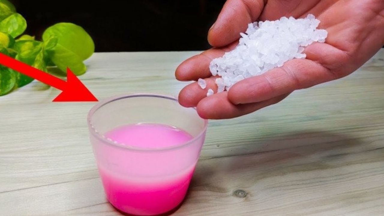 Đổ &iacute;t nước xả vải v&agrave;o b&aacute;t muối, t&aacute;c dụng tuyệt vời đến kh&ocirc;ng ngờ, nhiều  người học l&agrave;m theo